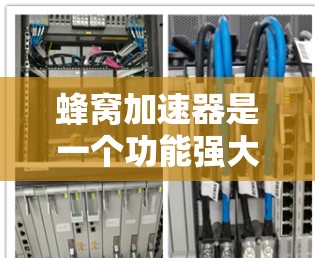 蜂窝加速器是一个功能强大的加速器工具，适合追求快速加载和稳定体验的用户。它具备以下主要功能