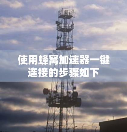 使用蜂窝加速器一键连接的步骤如下 使用蜂窝加速器一键连接的步骤如下
