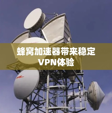 蜂窝加速器带来稳定VPN体验
