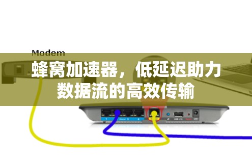 蜂窝加速器，低延迟助力数据流的高效传输